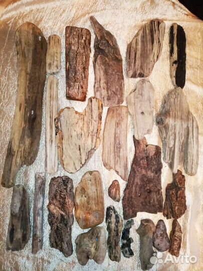 Дрифтвуд набор