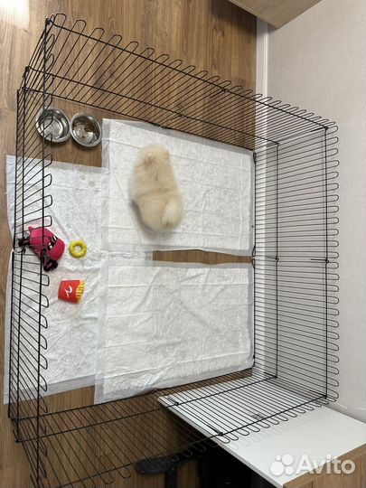 Вольер для собак 10 секций