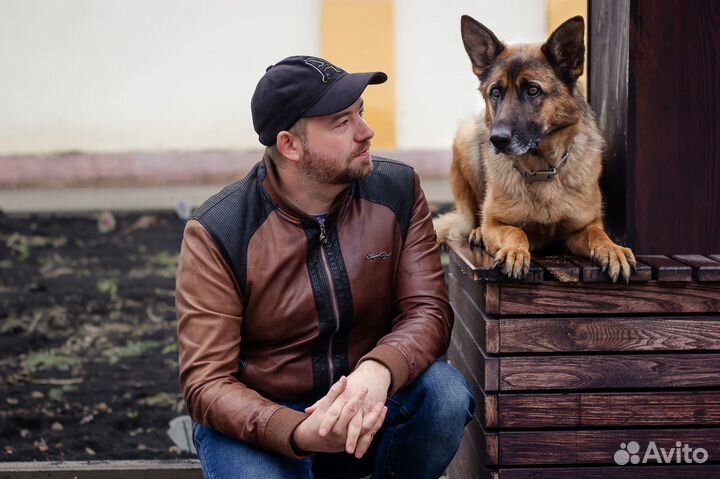 Дрессировка собак с передержкой у кинолога