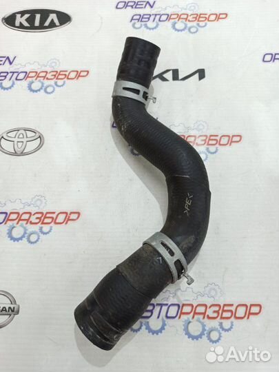 Патрубок радиатора Nissan Note 1.6 HR16 2013