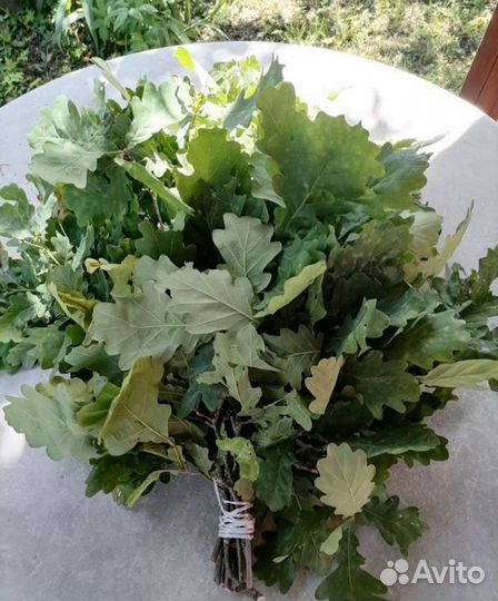 Веники Береза,Дуб, Запарки из трав