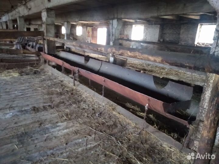 Животноводческая ферма продаю