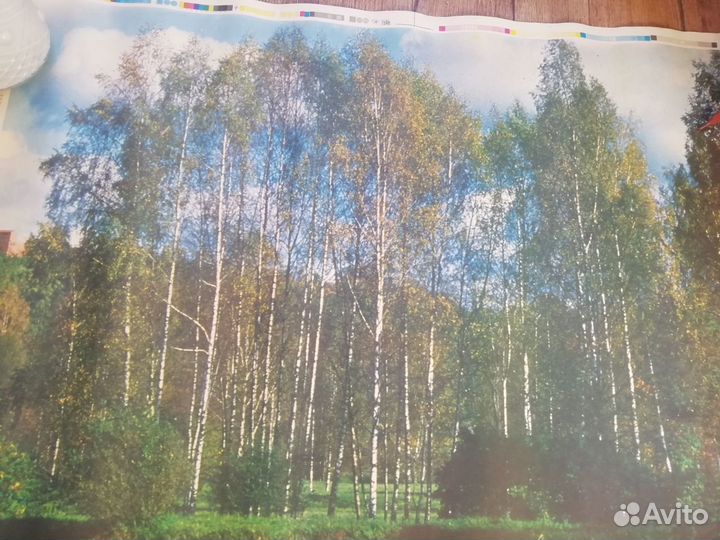 Картина бумажная пейзаж на стену 1,5 х 2,2 м