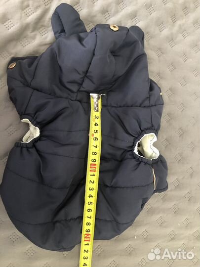 Одежда для собак