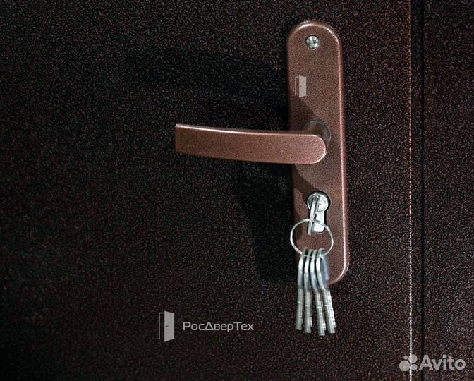 Дверь входная металлическая