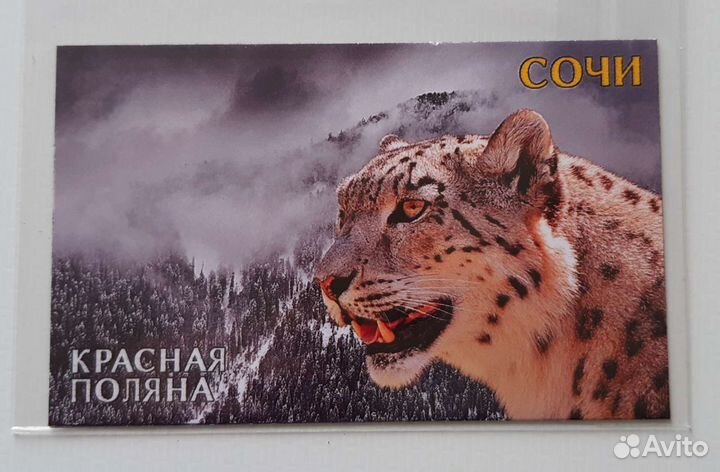 Магнитики Сочи, Красная Поляна, Адлер, Роза Хутор