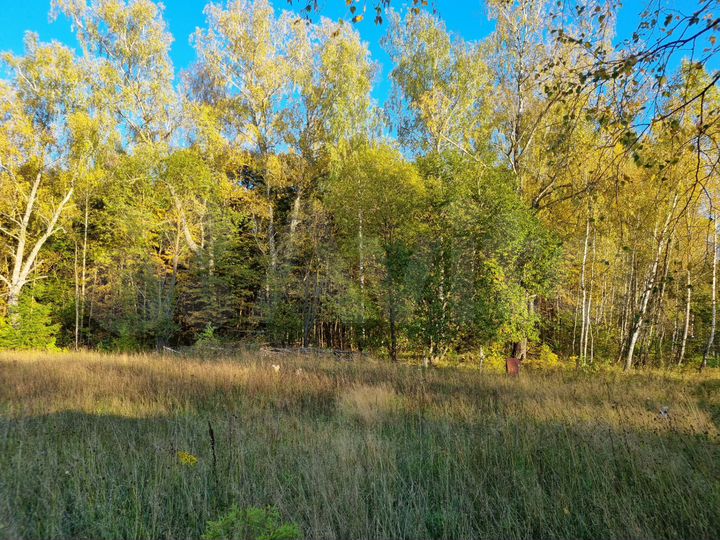 Участок 14,8 сот. (СНТ, ДНП)