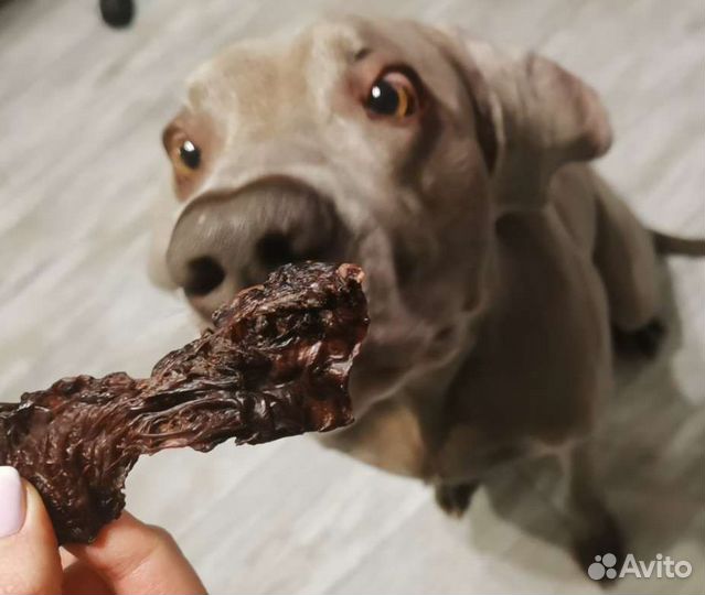Лакомства для собак от производителя