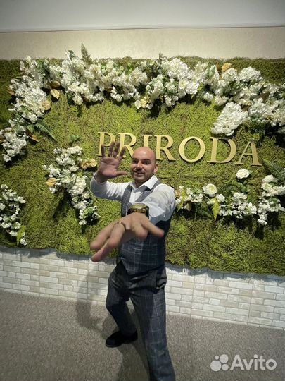 Ведущий, DJ, диджей, шоумен, мс