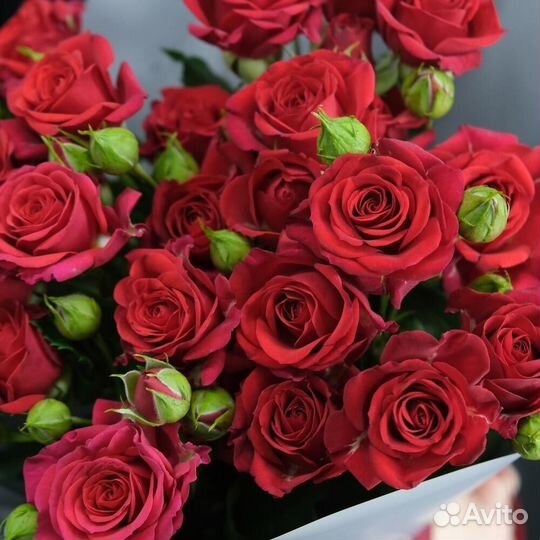 Букет из 5 красных кустовых роз