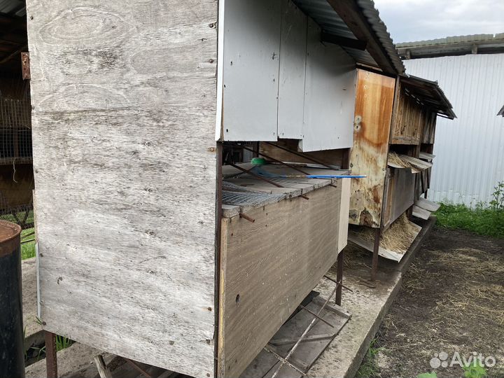 Клетки для кроликов