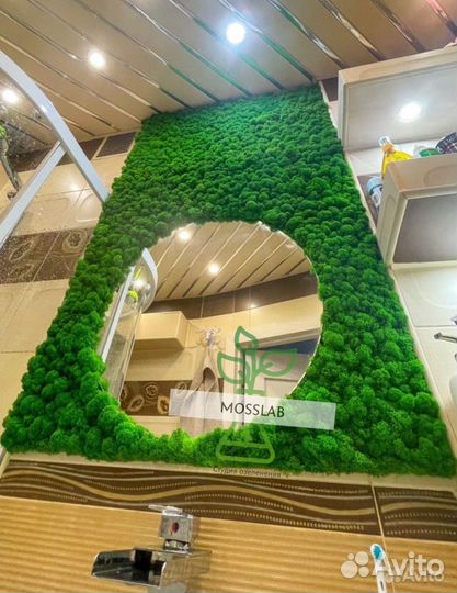 Стабилизированный мох/ озеленение