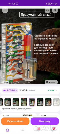 Муравьиная ферма