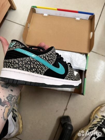 Кроссовки Nike sb dunk low