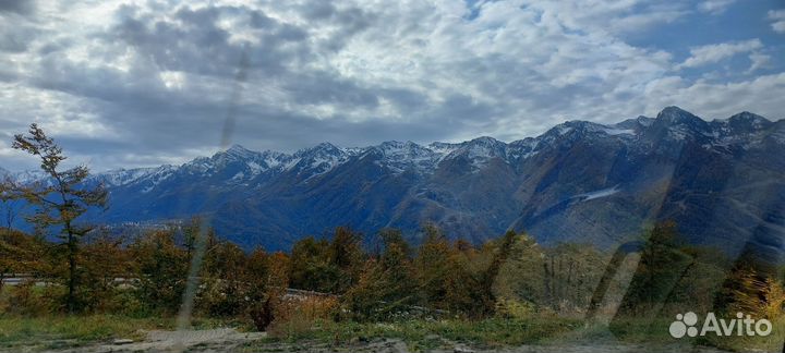 Садовник с проживанием