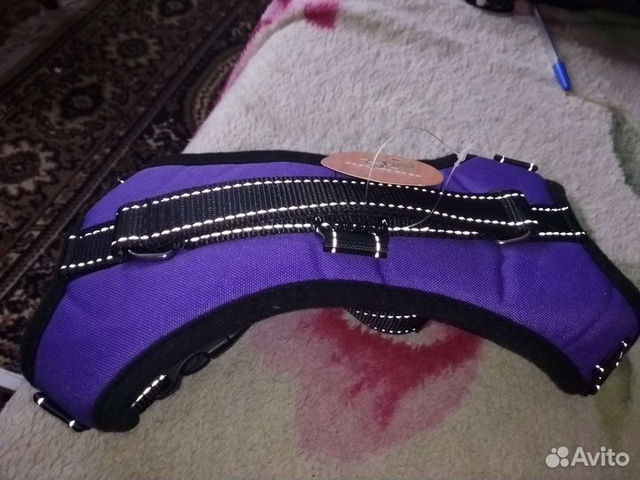 Шлейка для собаки