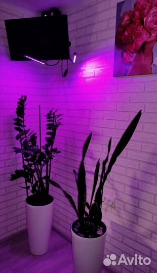 Фитолампа для растений полный спектр