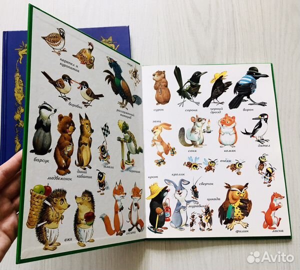 Сказки волшебного леса тони вульф, сказки про фей