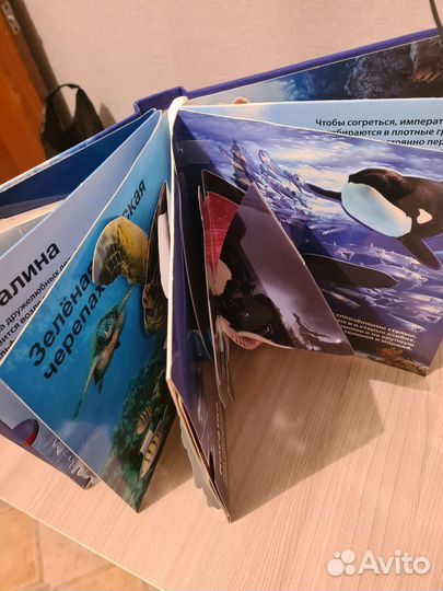 Книга звуки живой природы