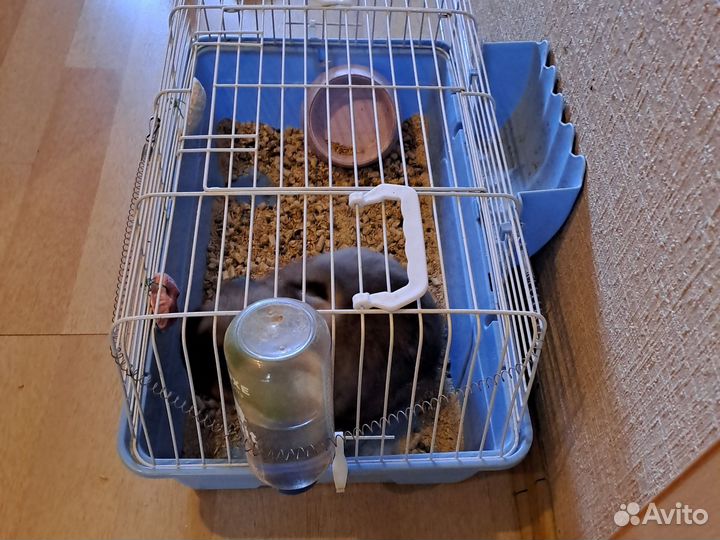Клетка для кролика