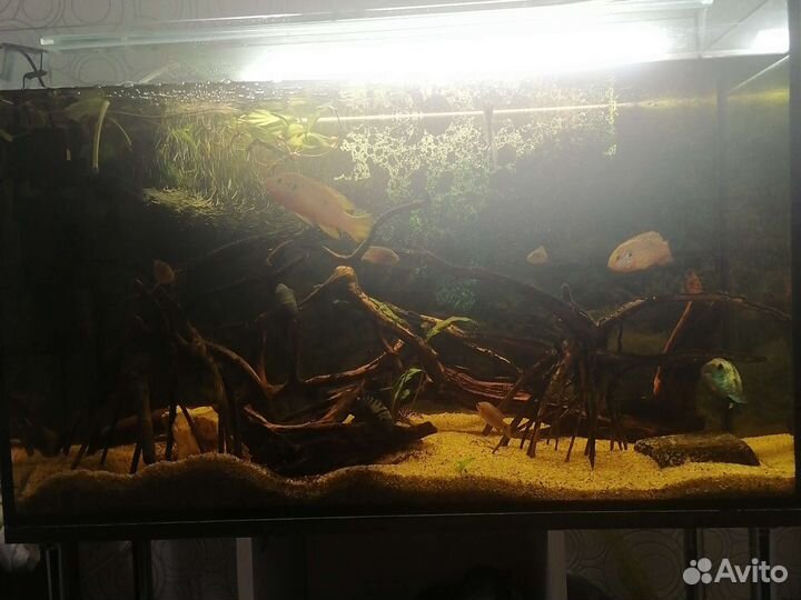Аквариум