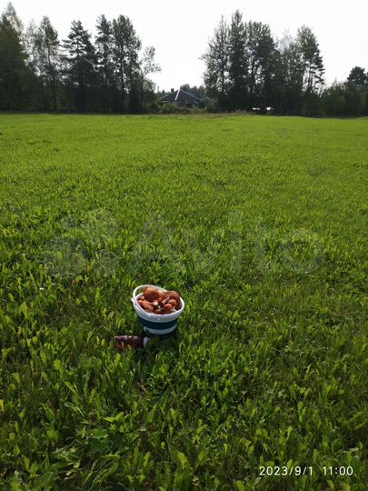 Участок 2 га (ИЖС)