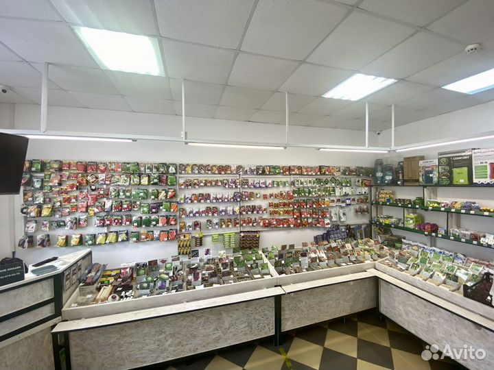 Семена огурцов, помидор и других овощей