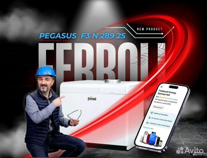 Котел газовый Ferroli Pegasus F3 N 289 2S