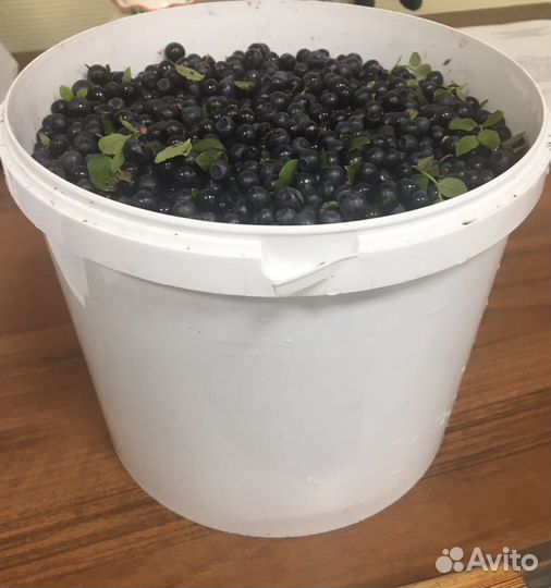 Ягоды черника