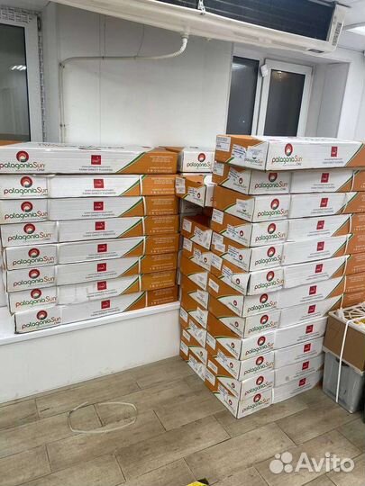 Пионы цветы коробка опт доставка цветы Москва