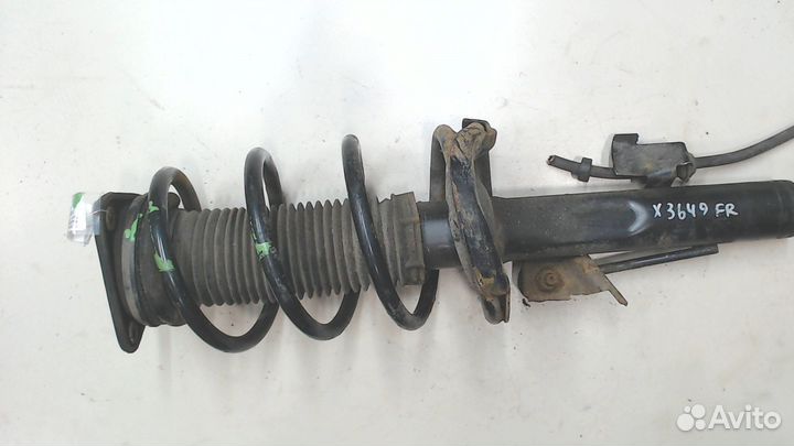 Амортизатор подвески Ford Focus 2, 2010