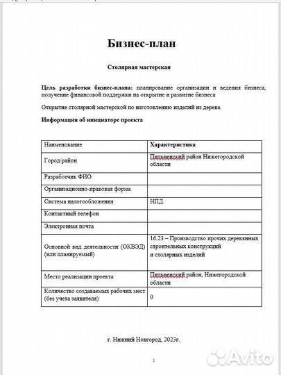 Бизнес план для соцконтракта