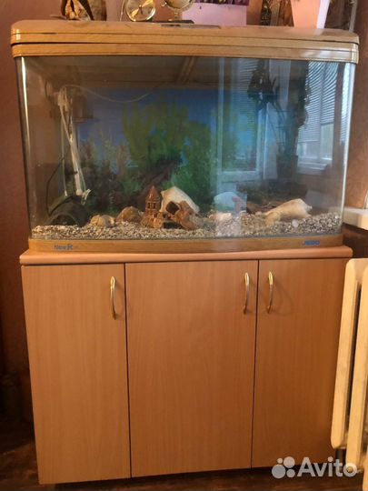 Аквариум
