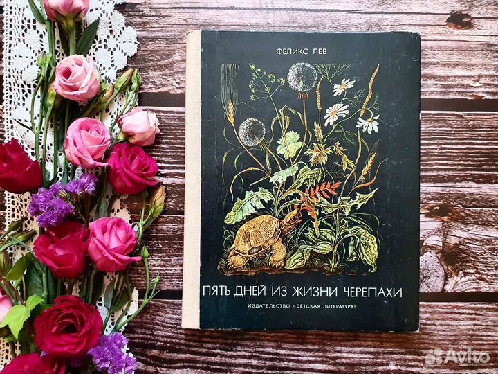 Лев. Пять дней из жизни черепахи 1980 г