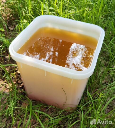 Опт мед натуральный Алтайский минимально 16 кг