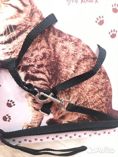 Шлейка для кошки