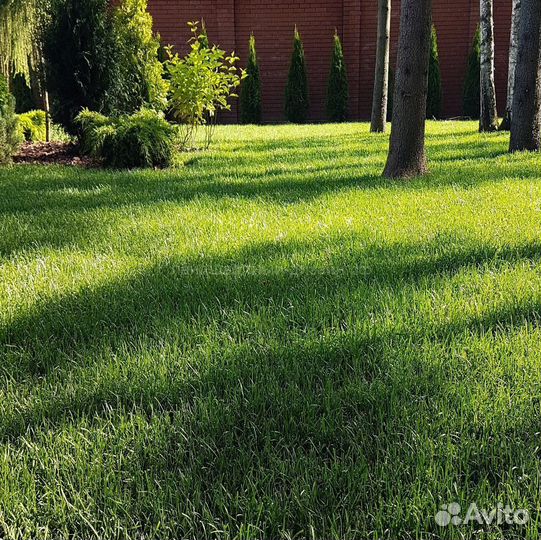 Теневой рулонный газон под ключ