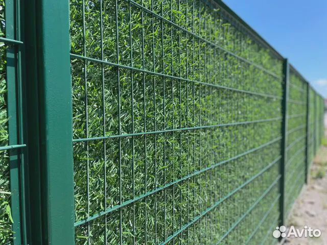 Живая Изгородь/Зеленый забор