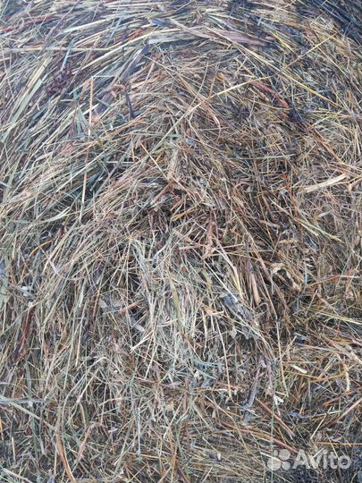 Сено в рулонах