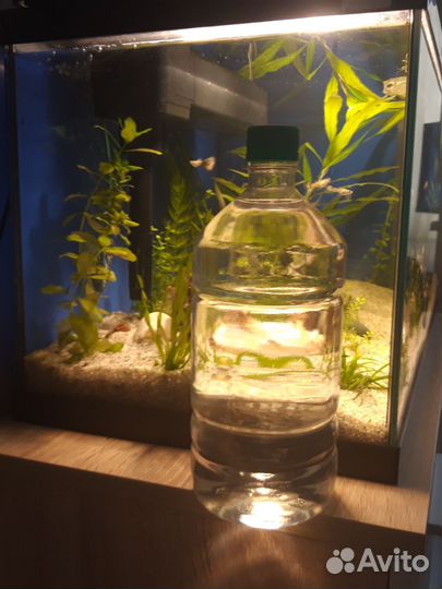 Аналог Сайдекс 1 л