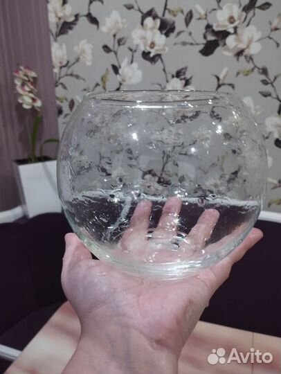 Аквариум круглый 1.5 л с ракушкой