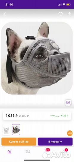 Намордник для маленькой собаки