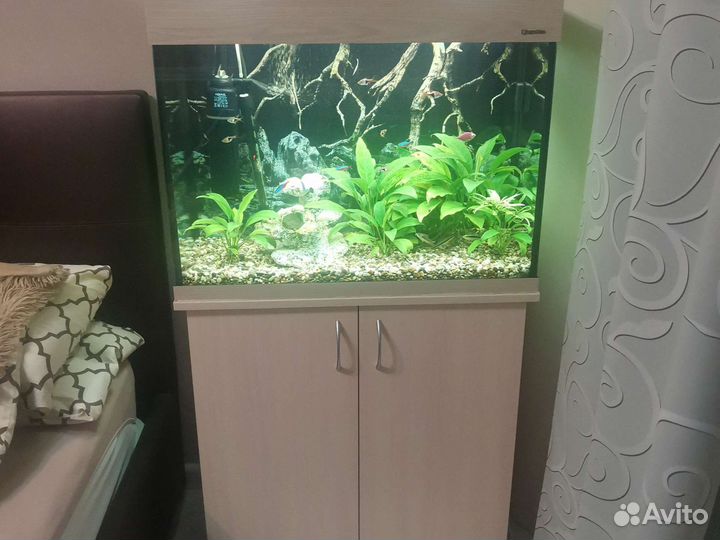 Аквариум акваплюс со всем оборудованием