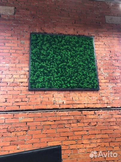 Фитопанель Фитостена