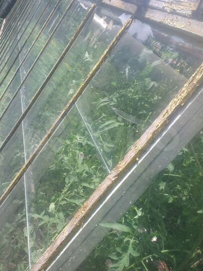 Дача 24 м² на участке 4 сот.