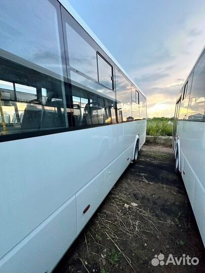 Городской автобус ПАЗ Вектор Next, 2021