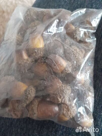 Желуди не настоящии; шишки