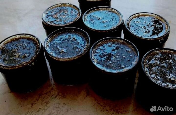 Пчелиный элексир для мужчин