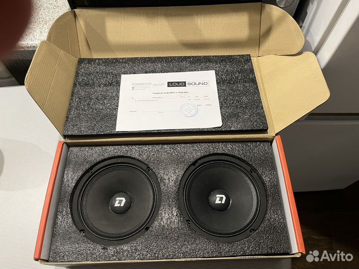 Динамики 165