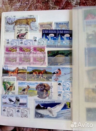 Коллекция почтовых марок+блок марок 800 лет нн